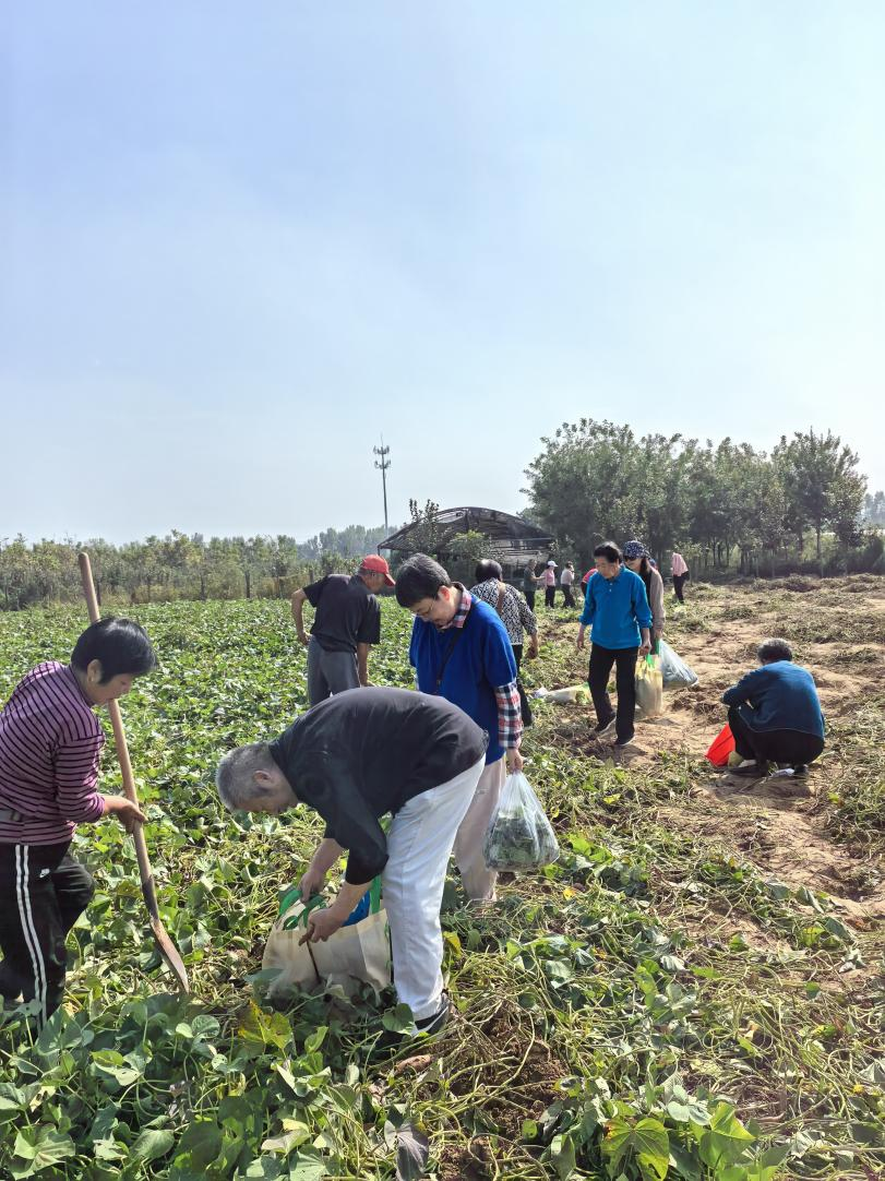 图片3.png 图片3.png