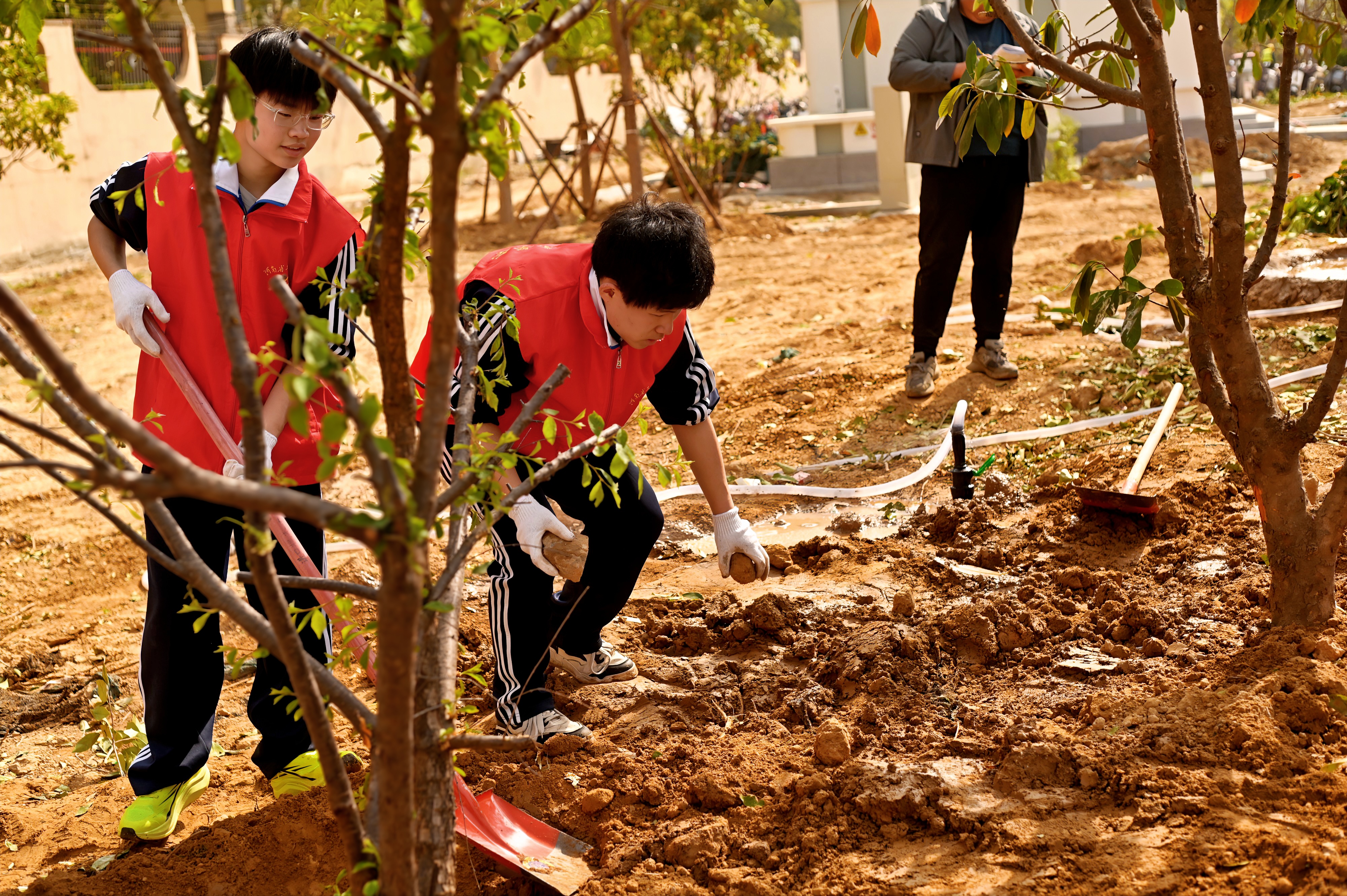 微信图片_20250409110851.jpg 微信图片_20250409110851.jpg