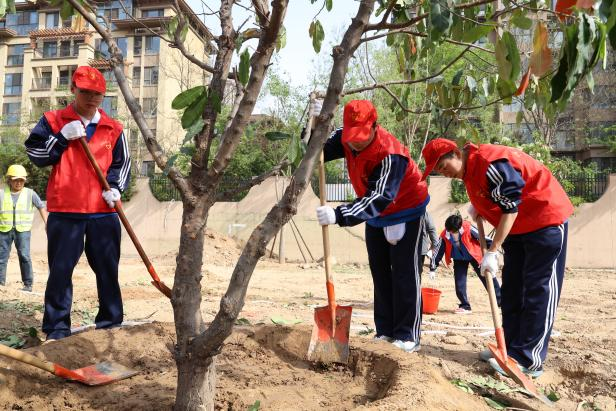 图片2.png 图片2.png