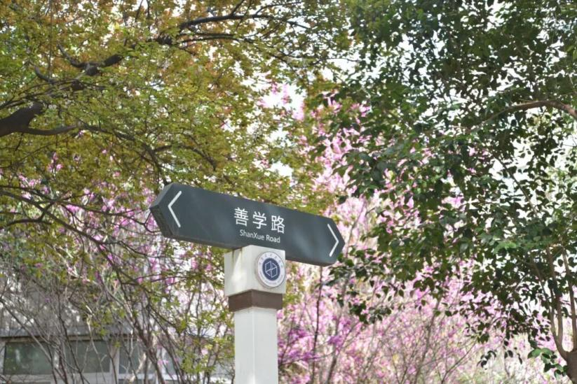 图片6.png 图片6.png